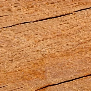 Heartwood color: Light reddish brown Sapwood color: Light browny gray Texture: Medium